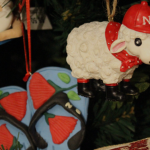 A Kiwi Christmas