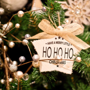 Countryside Christmas