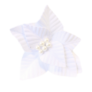 Pearl Stamen Poinsettia