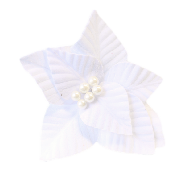 Pearl Stamen Poinsettia