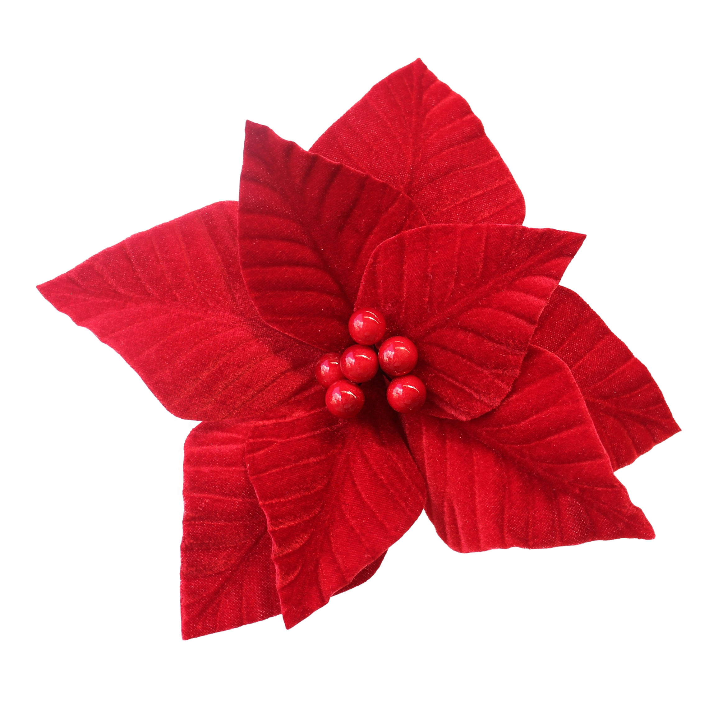 Red Poinsettia