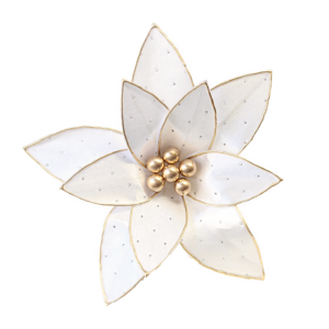 Pale Cream & Gold Poinsettia