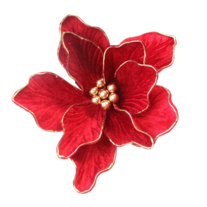 Red Magnolia