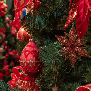 Trimmed in Tradition