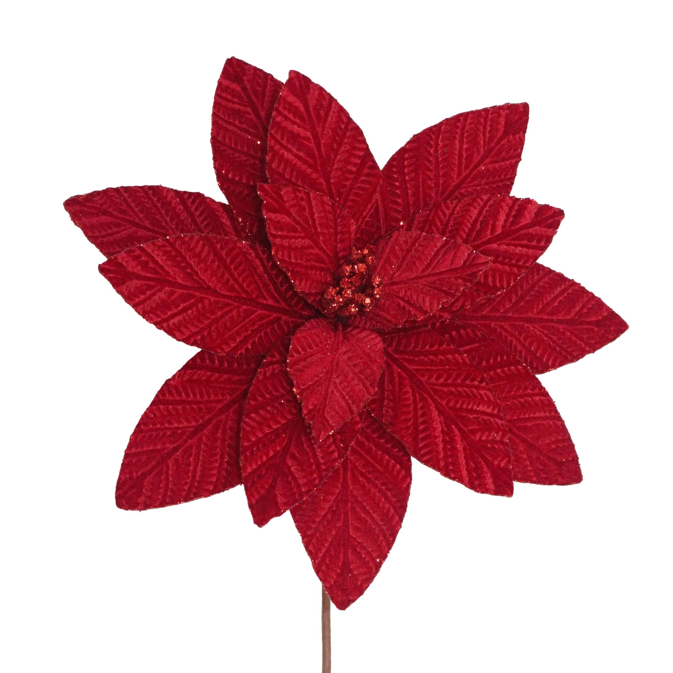 Deep Red Poinsettia