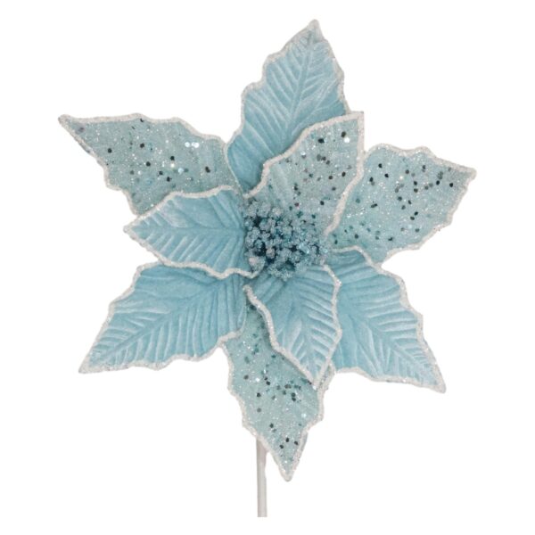 Pale Blue Poinsettia