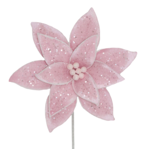 Pink Poinsettia