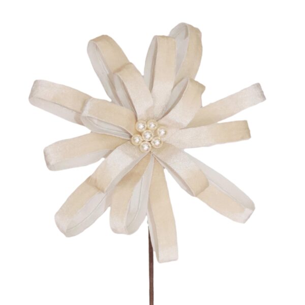 Champagne Rosette