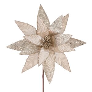 Velvet Champagne Poinsettia