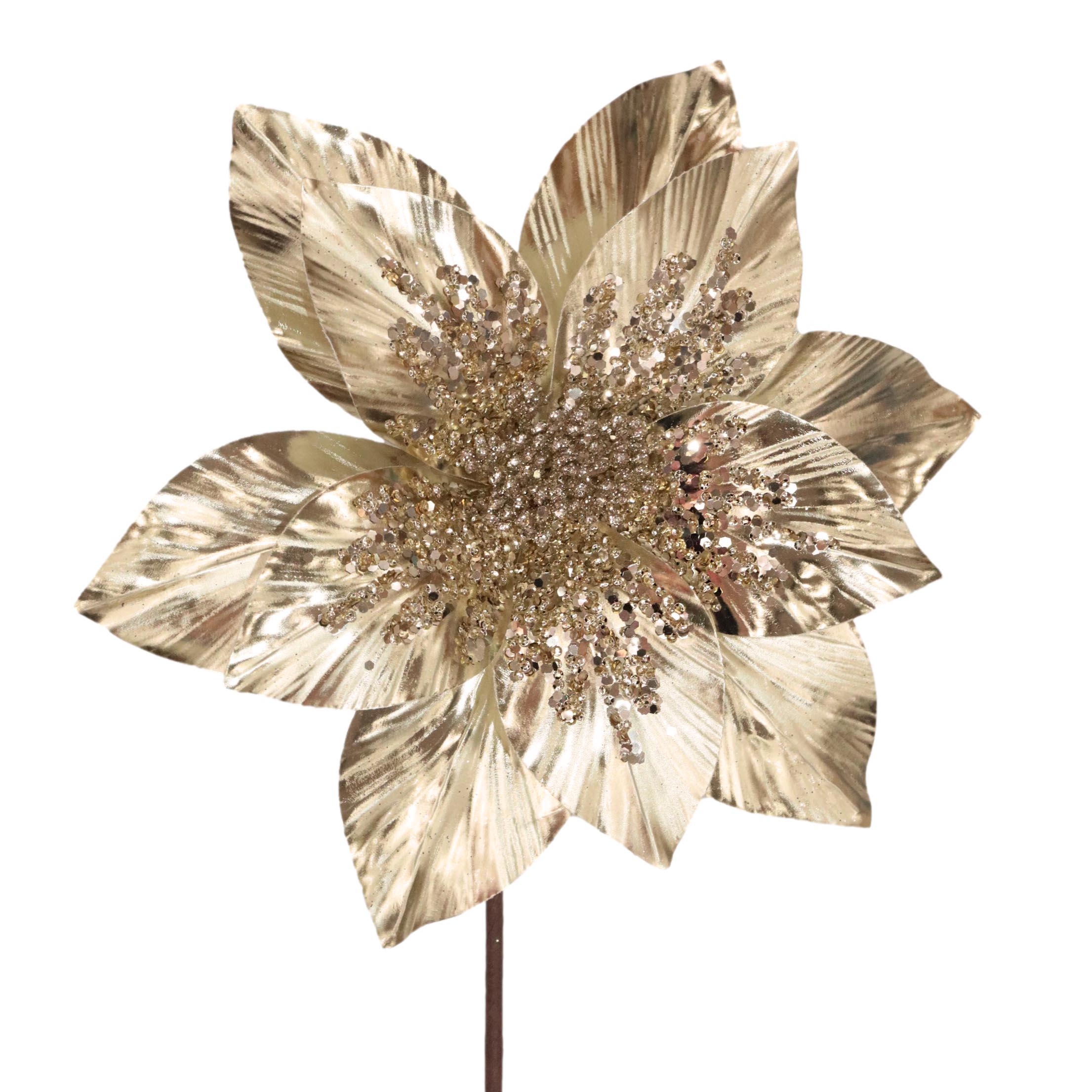 Gold Poinsettia - Rounded Petal