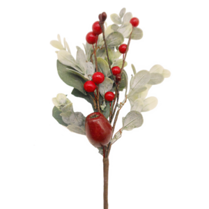 Eucalyptus & Red Berry Pick