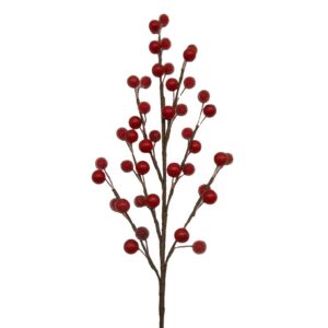 Red Berry & Frosted Berry Pick