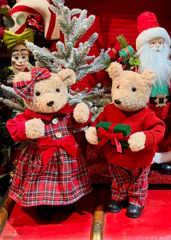 Boy Bear Dress in Tartan - Image 2