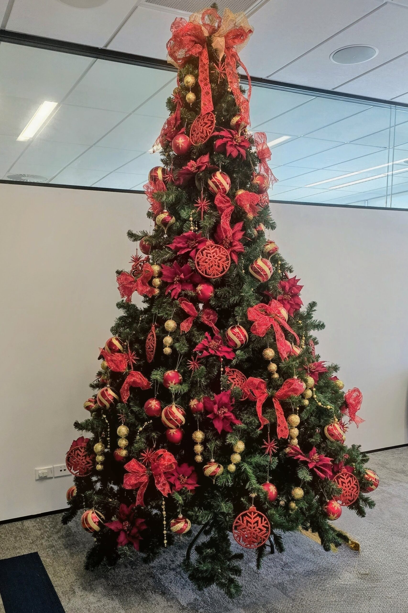 Red & Gold Christmas Hire Tree