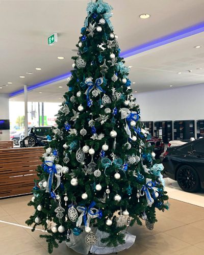 BMW Hamilton copy